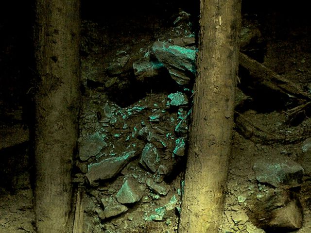 schr&ouml;ckingerit uv web insitu 001